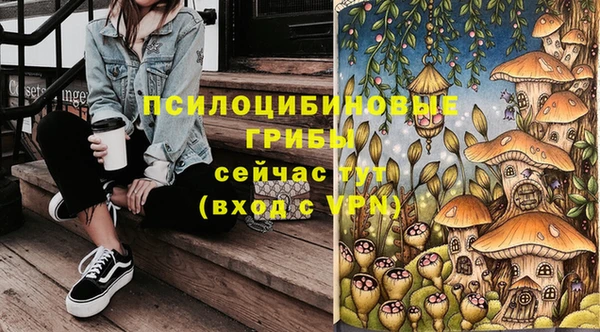 спайс Алзамай