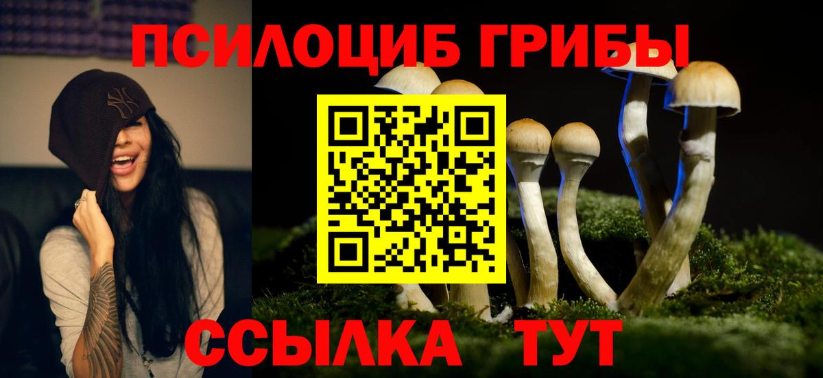 Тверь  Галлюциногенные грибы мухоморы  купить наркотики сайты  Вход с VPN 